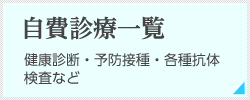 自費診療一覧